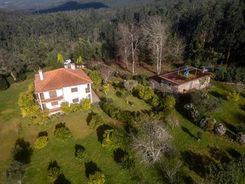 Quintinha c/ Moradia V4+1 e Moradia Antiga