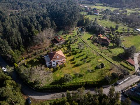 Quintinha c/ Moradia V4+1 e Moradia Antiga