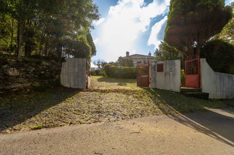 Quintinha c/ Moradia V4+1 e Moradia Antiga