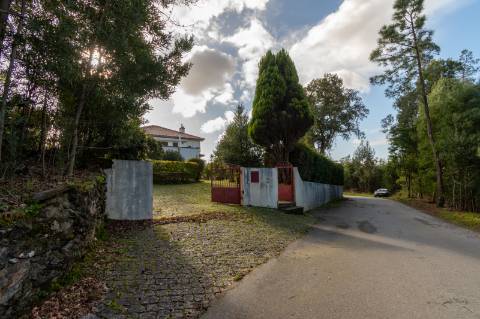 Quintinha c/ Moradia V4+1 e Moradia Antiga