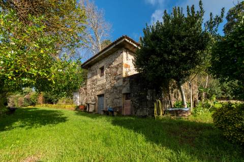 Quintinha c/ Moradia V4+1 e Moradia Antiga