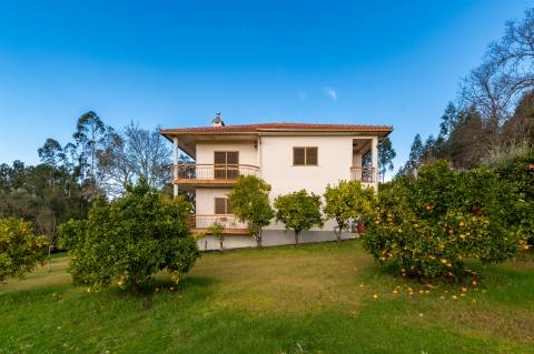 Quintinha c/ Moradia V4+1 e Moradia Antiga