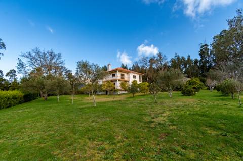 Quintinha c/ Moradia V4+1 e Moradia Antiga