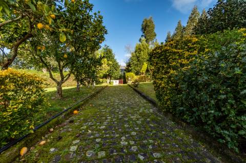 Quintinha c/ Moradia V4+1 e Moradia Antiga