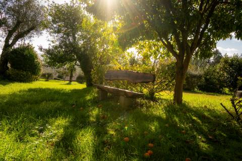 Quintinha c/ Moradia V4+1 e Moradia Antiga