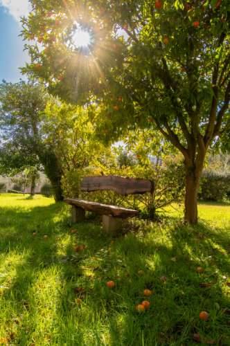 Quintinha c/ Moradia V4+1 e Moradia Antiga