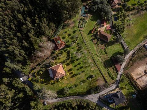 Quintinha c/ Moradia V4+1 e Moradia Antiga