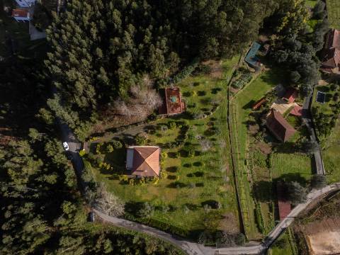 Quintinha c/ Moradia V4+1 e Moradia Antiga