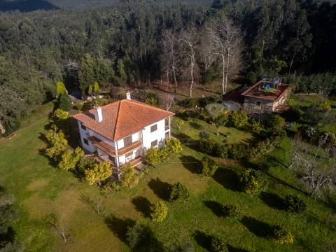 Quintinha c/ Moradia V4+1 e Moradia Antiga