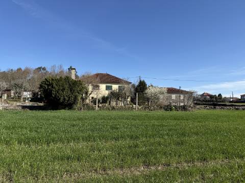 Quinta c/ Moradia V4 em Panque, Barcelos