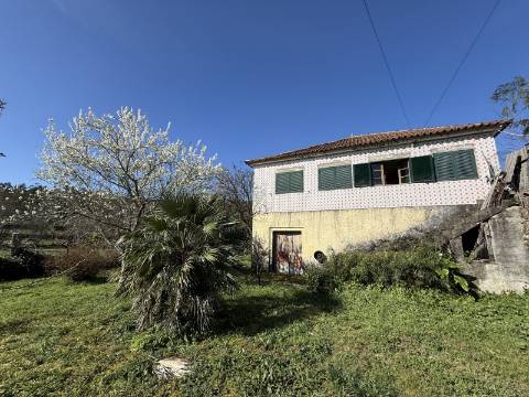 Quinta c/ Moradia V4 em Panque, Barcelos