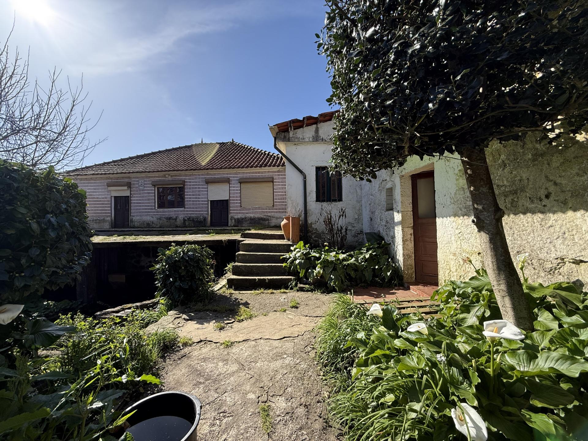 Quinta c/ Moradia V4 em Panque, Barcelos