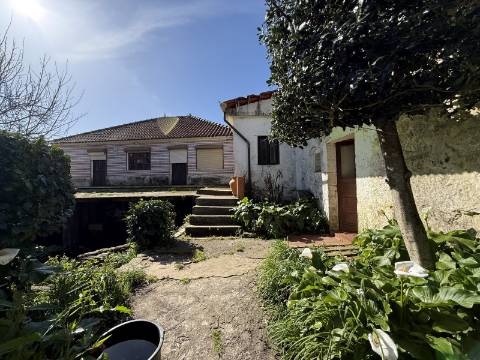 Quinta c/ Moradia V4 em Panque, Barcelos