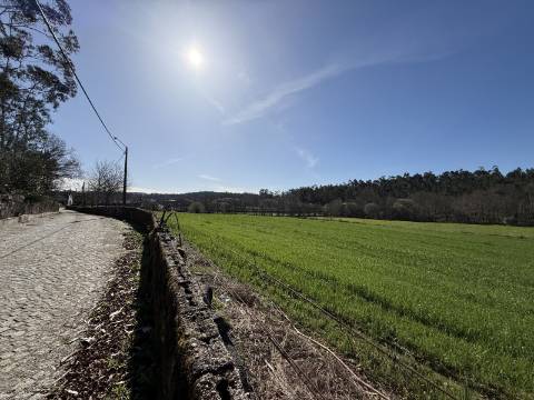 Quinta c/ Moradia V4 em Panque, Barcelos