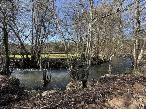 Quinta c/ Moradia V4 em Panque, Barcelos