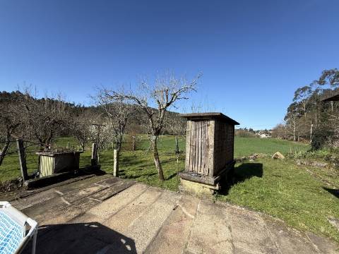 Quinta c/ Moradia V4 em Panque, Barcelos