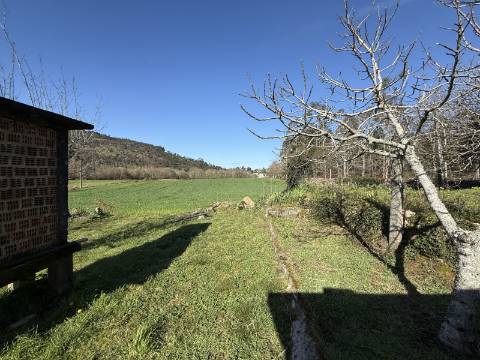 Quinta c/ Moradia V4 em Panque, Barcelos