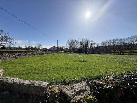 Quinta c/ Moradia V4 em Panque, Barcelos