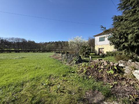 Quinta c/ Moradia V4 em Panque, Barcelos