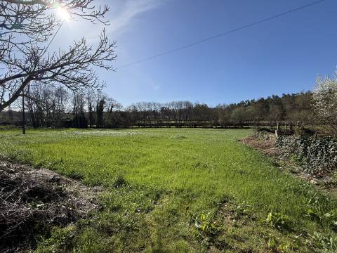 Quinta c/ Moradia V4 em Panque, Barcelos