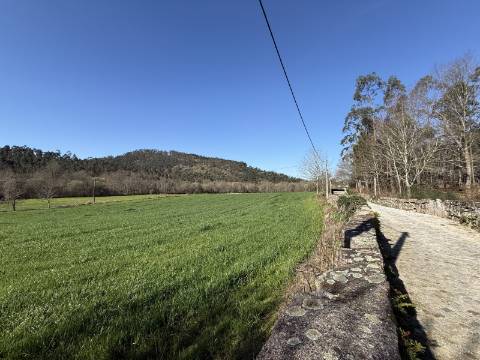 Quinta c/ Moradia V4 em Panque, Barcelos