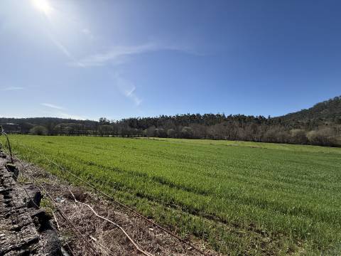 Quinta c/ Moradia V4 em Panque, Barcelos