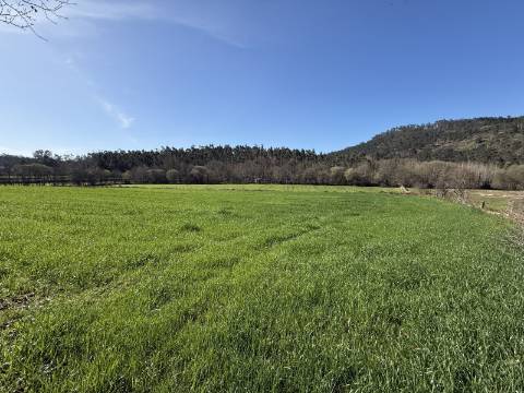 Quinta c/ Moradia V4 em Panque, Barcelos