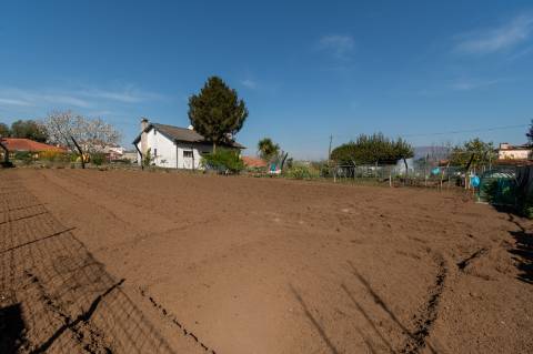 Moradia T4 em Geraz do Lima