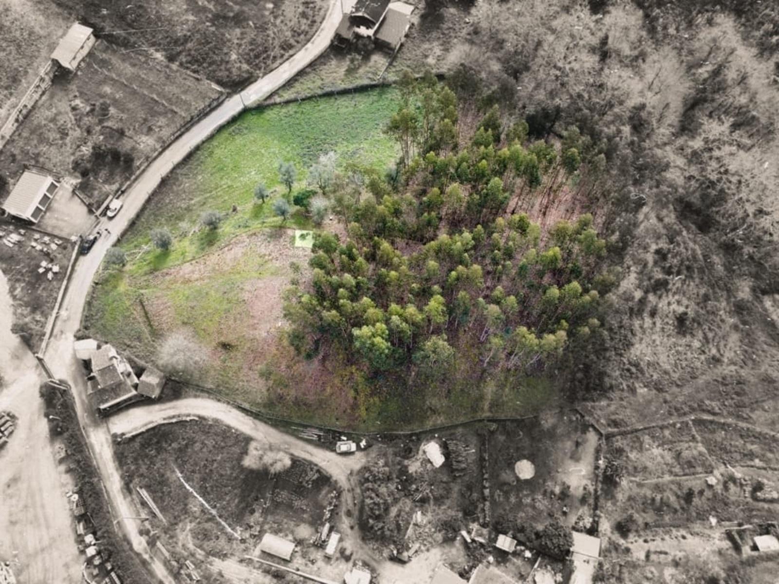 Terreno Urbanizável Couto