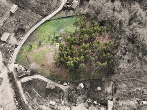 Terreno Urbanizável Couto