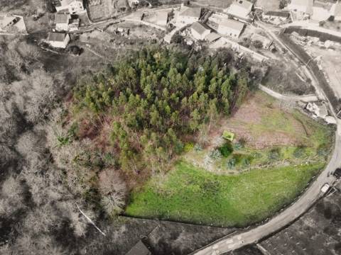 Terreno Urbanizável Couto
