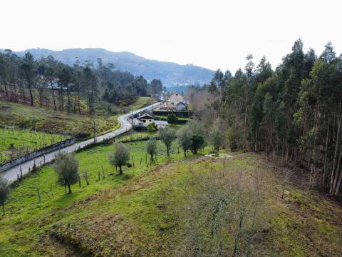 Terreno Urbanizável Couto