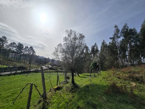 Terreno Urbanizável Couto