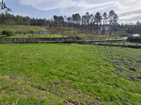 Terreno Urbanizável Couto