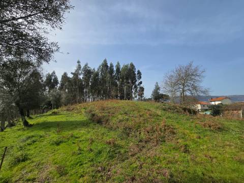 Terreno Urbanizável Couto