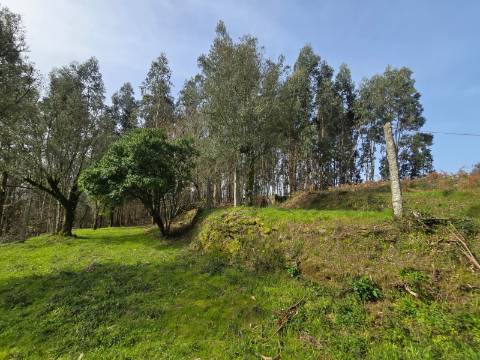 Terreno Urbanizável Couto