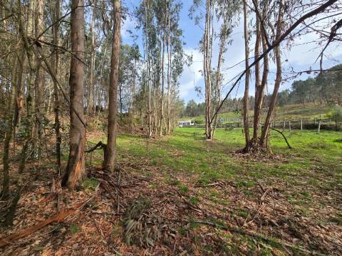 Terreno Urbanizável Couto