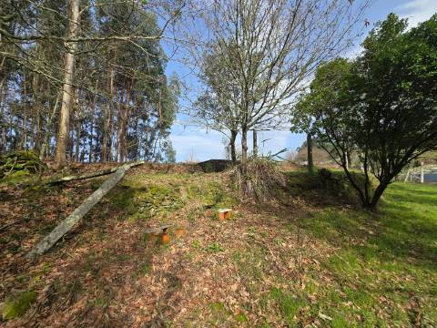 Terreno Urbanizável Couto