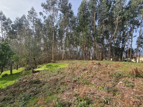 Terreno Urbanizável Couto