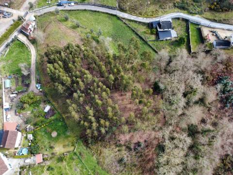 Terreno Urbanizável Couto