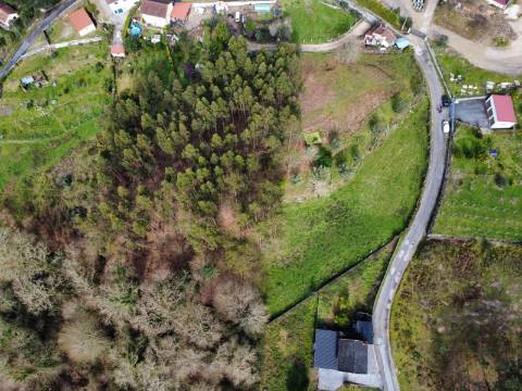 Terreno Urbanizável Couto