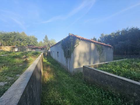 Três Moradias Por Recuperar