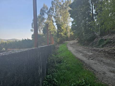 Três Moradias Por Recuperar