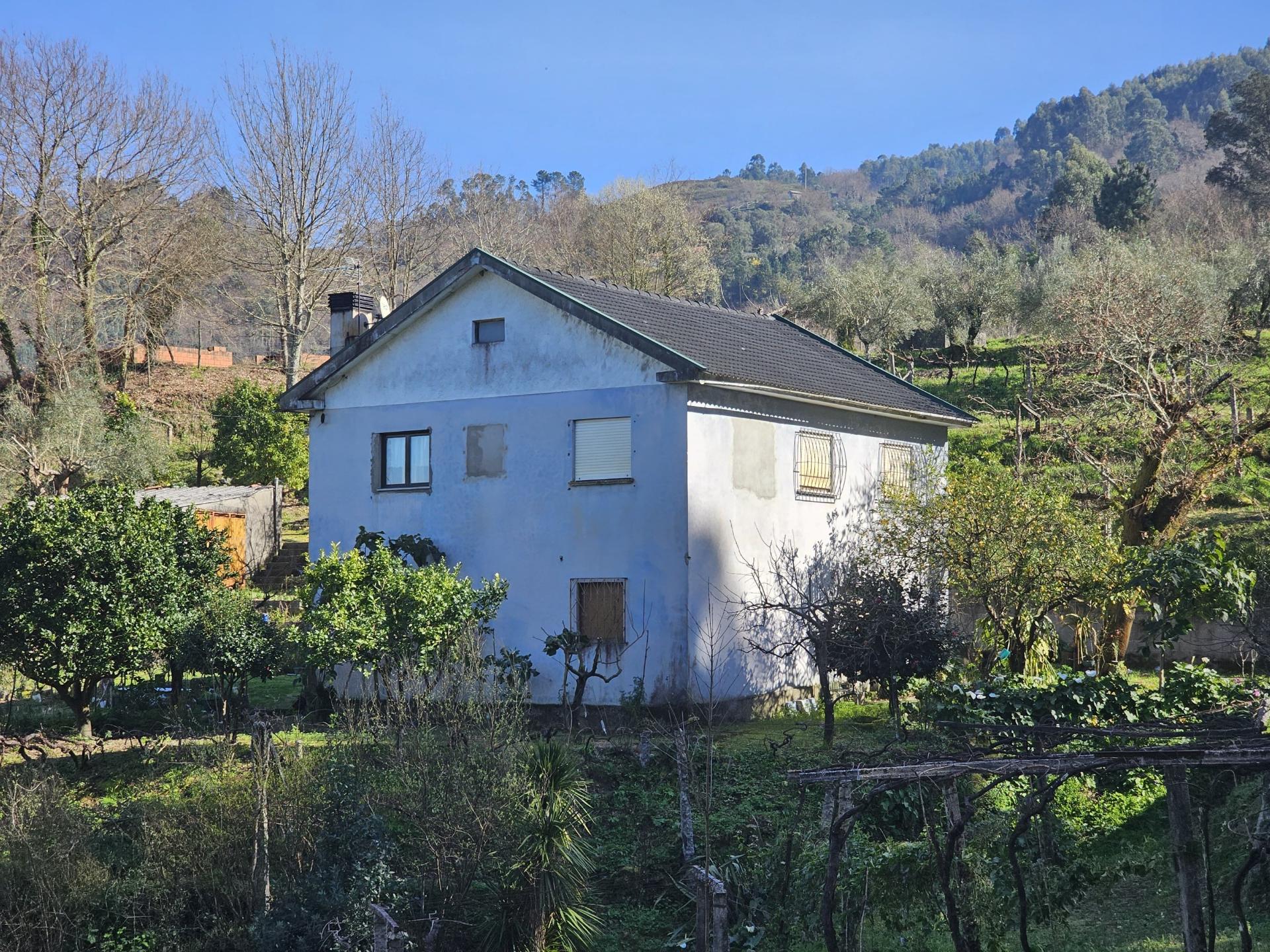 Quinta 10 min de Ponte de Lima com pomar e vinhedo