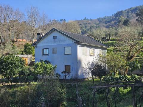Quinta 10 min de Ponte de Lima com pomar e vinhedo