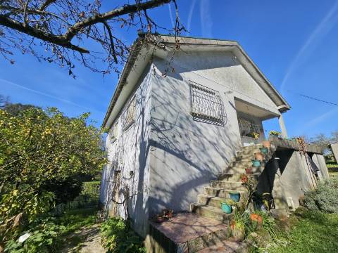 Quinta 10 min de Ponte de Lima com pomar e vinhedo