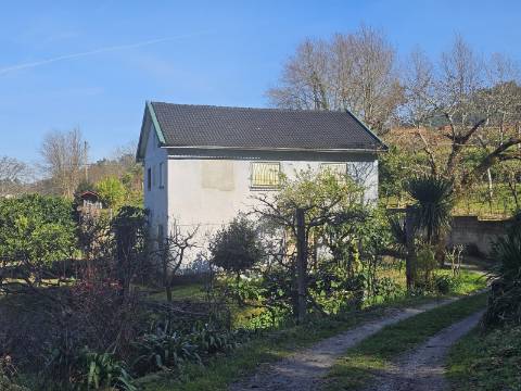 Quinta 10 min de Ponte de Lima com pomar e vinhedo