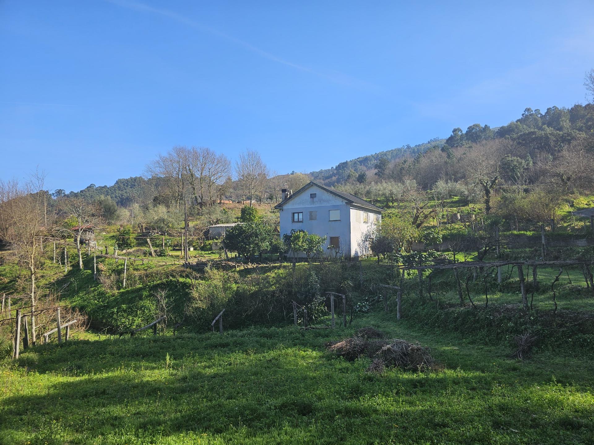 Quinta 10 min de Ponte de Lima com pomar e vinhedo