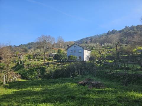 Quinta 10 min de Ponte de Lima com pomar e vinhedo