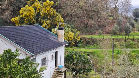 Quinta 10 min de Ponte de Lima com pomar e vinhedo